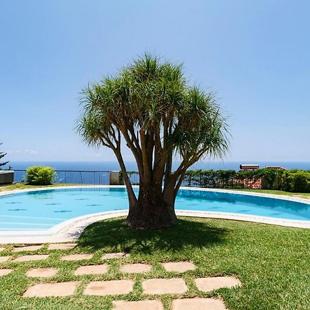 Vila Eucalipto By An Island Apart Funchal  Extérieur photo