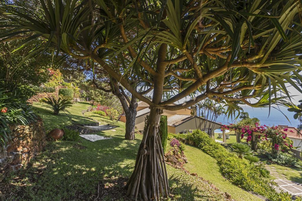 Vila Eucalipto By An Island Apart Funchal  Extérieur photo